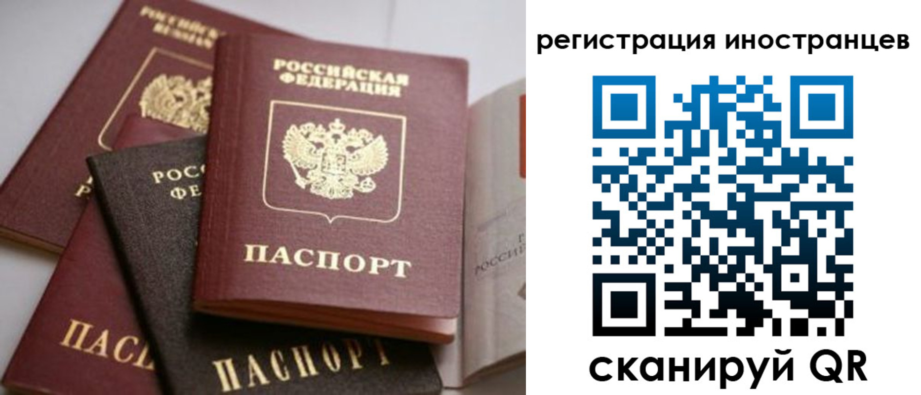 форма 3 в Соколе